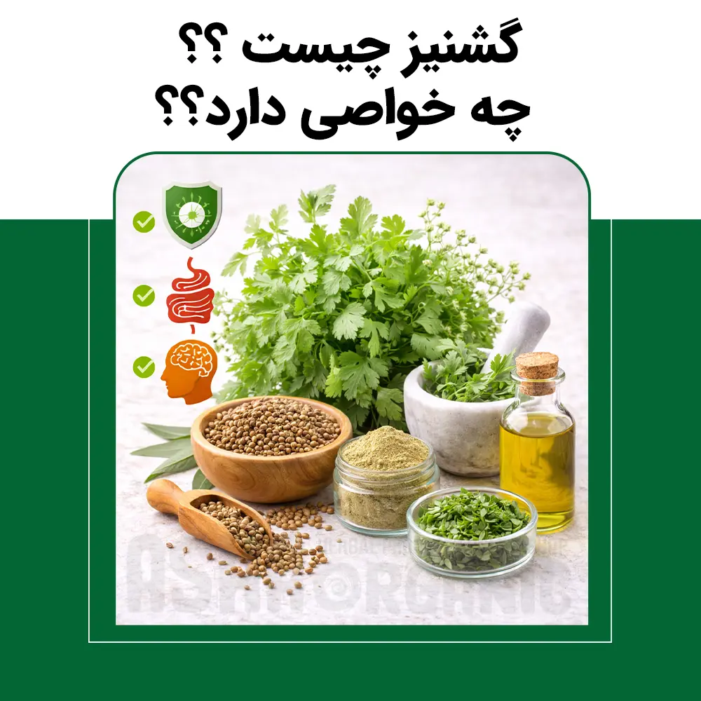 گشنیز-چیست-و-چه-خواصی-دارد