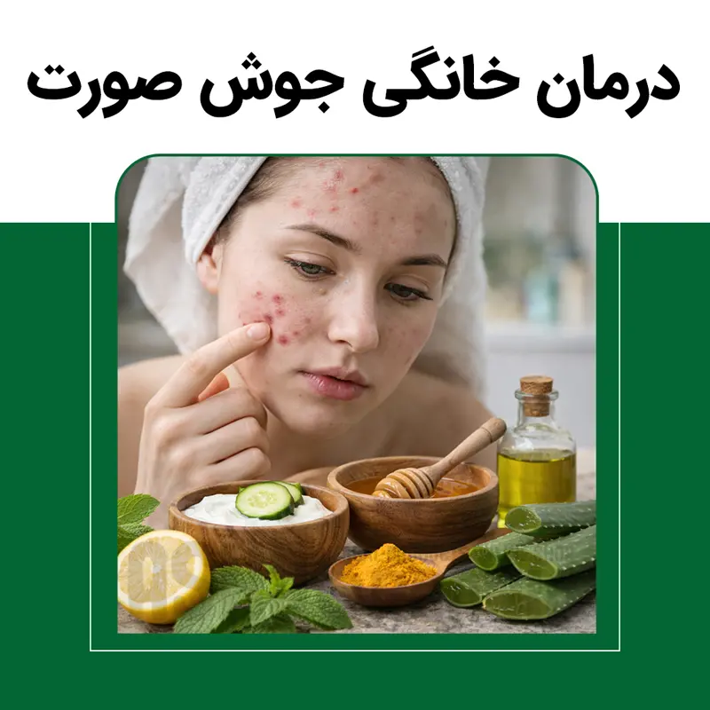 درمان خانگی جوش صورت | روش‌های طبیعی، سریع و مؤثر برای انواع جوش