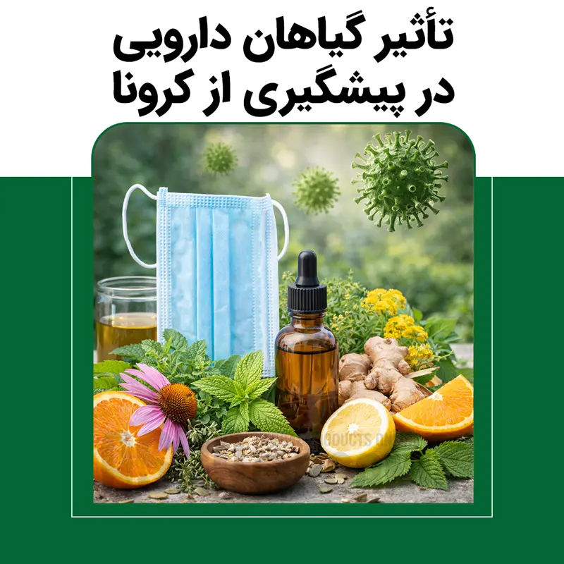 تأثیر گیاهان دارویی در پیشگیری از کرونا