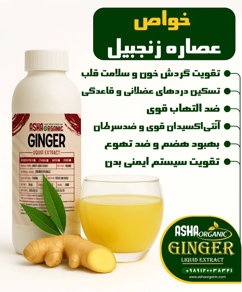 خواص-عصاره-زنجبیل