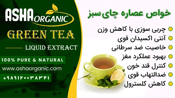 خواص-عصاره-چای-سبز