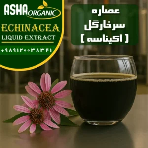 عصاره-اکیناسه