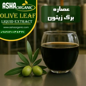 عصاره-برگ-زیتون
