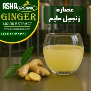 عصاره-زنجبیل-مایع
