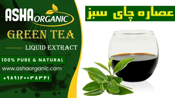 عصاره-مایع-چای-سبز-خالص