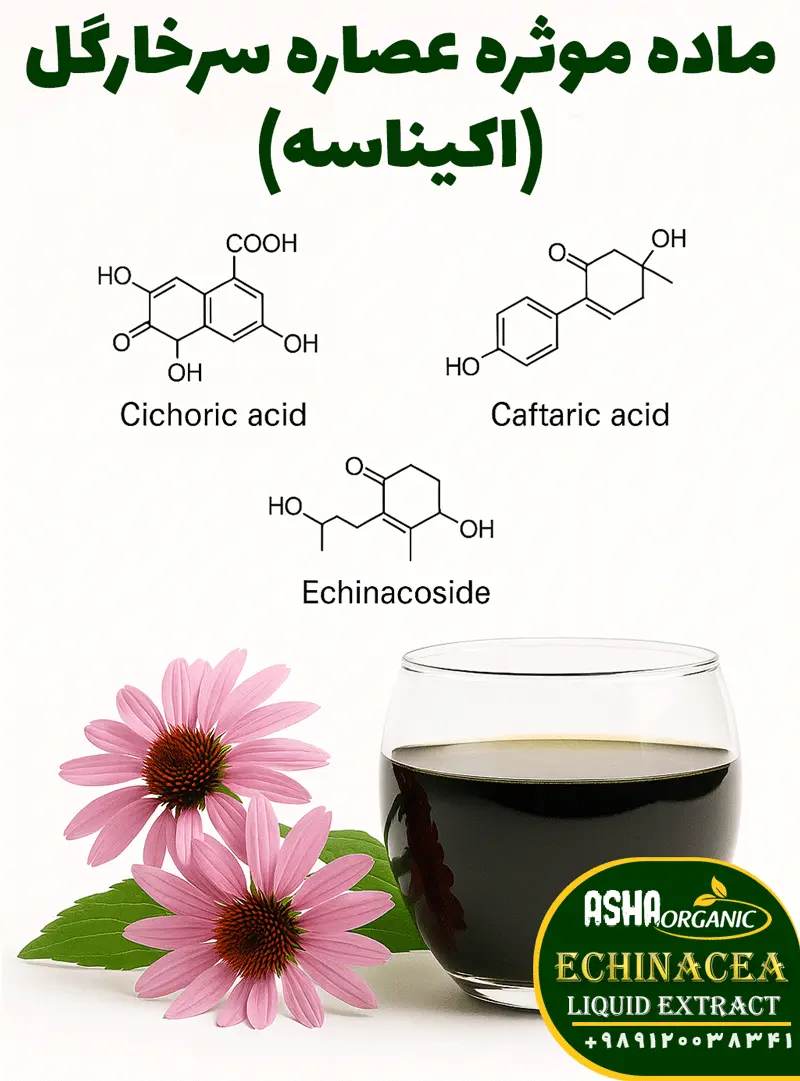 ماده-موثره-عصاره-اکیناسه