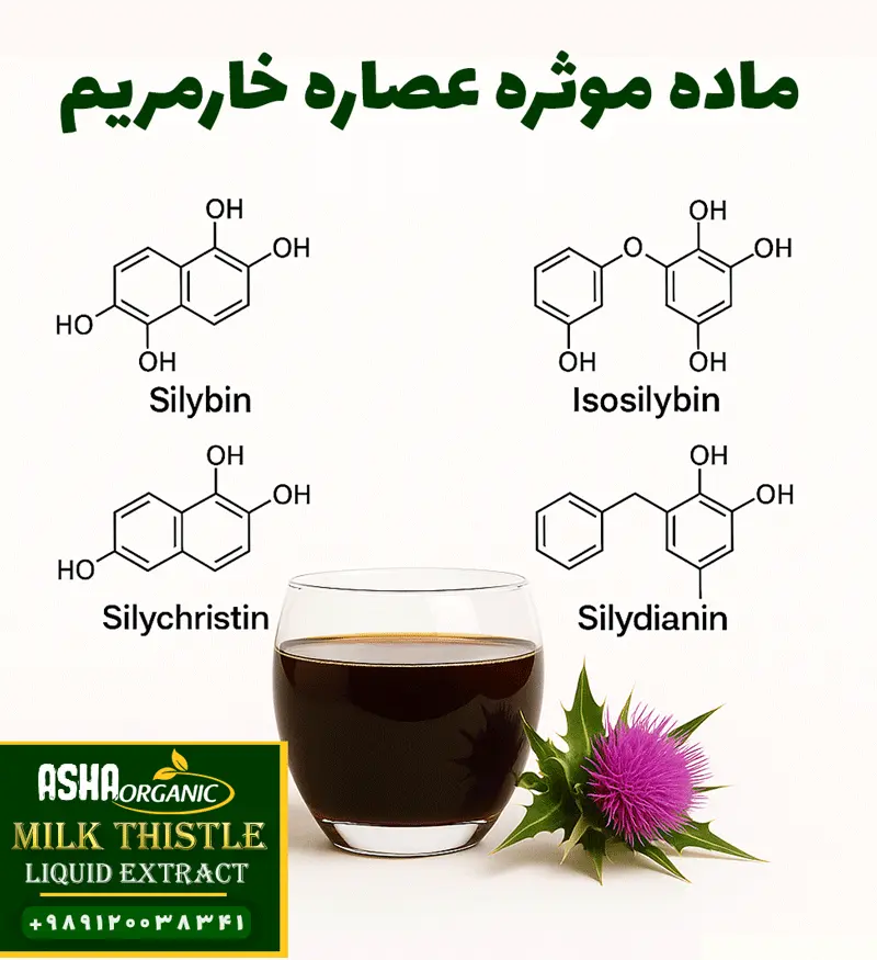 ماده-موثره-عصاره-خارمریم