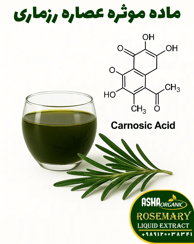 ماده-موثره-عصاره-رزماری