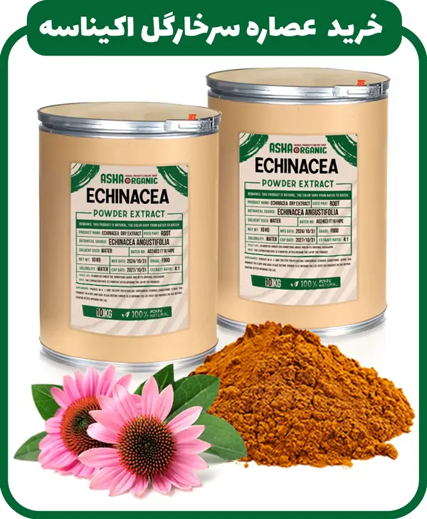 خرید عصاره اکیناسه سرخارگل