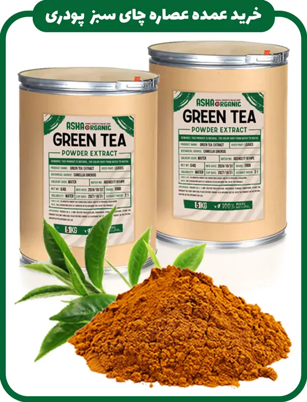 خرید عمده عصاره چای سبز پودری