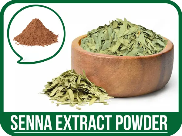 خواص-برگ-سنا