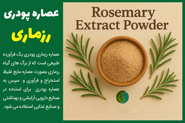 عصاره رزماری خشک