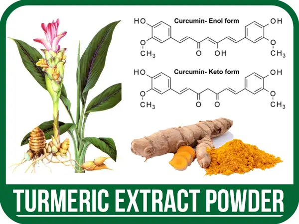 عصاره-زردچوبه-پودری