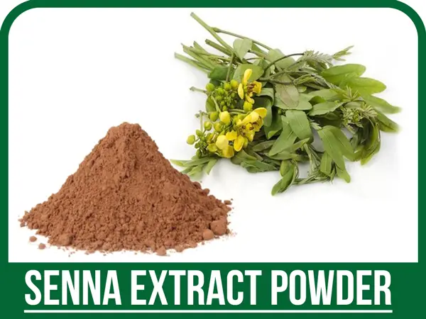 عصاره سنا خشک