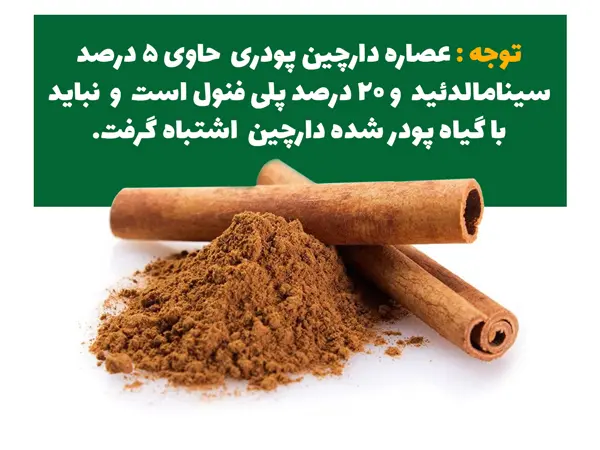 عصاره-پودری-دارچین