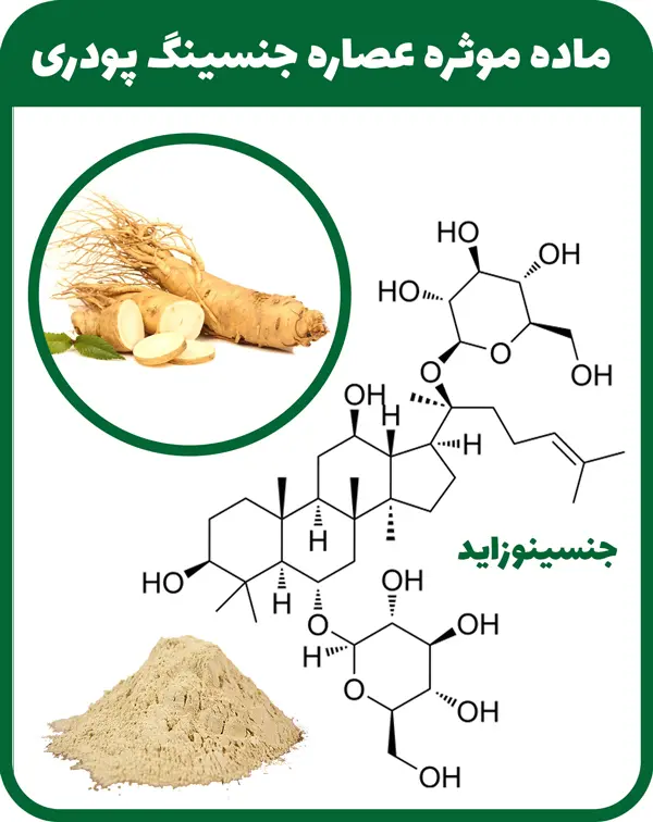 ماده-موثره-عصاره-جنسینگ