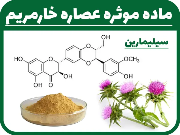 مواد-موثره-عصاره-خارمریم