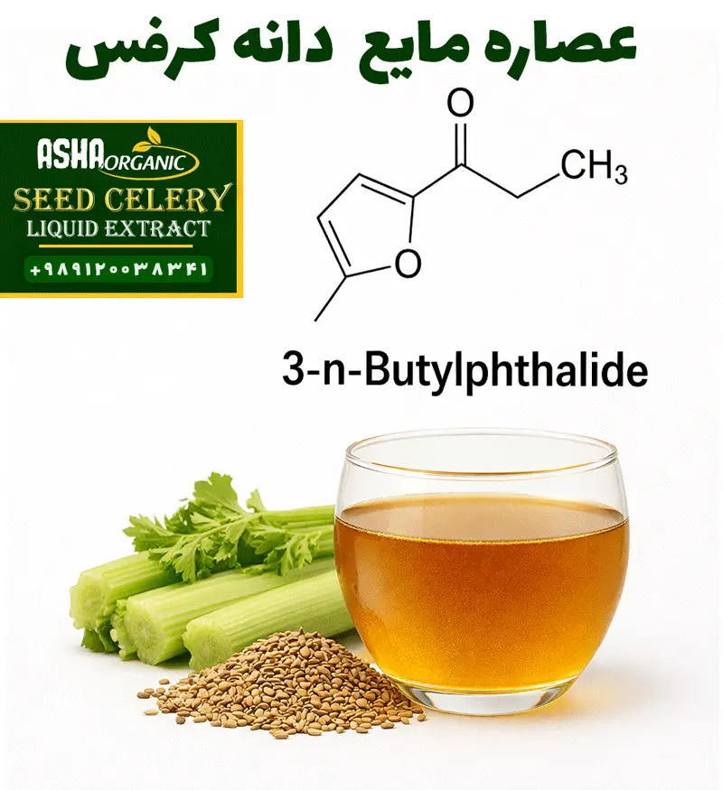 ماده-موثره-عصاره-دانه-کرفس