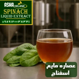 عصاره-مایع-اسفناج