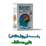 ریچل گیاهی بنه