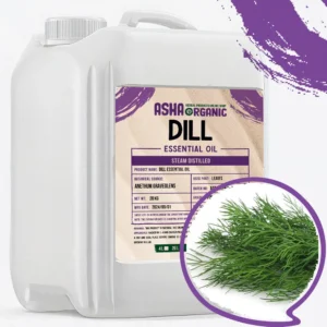 اسانس شوید اصل