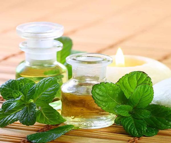 گیاه خشک نعناع فلفلی