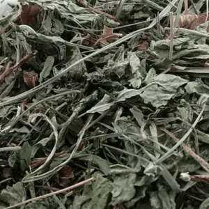 گیاه خشک کاسنی