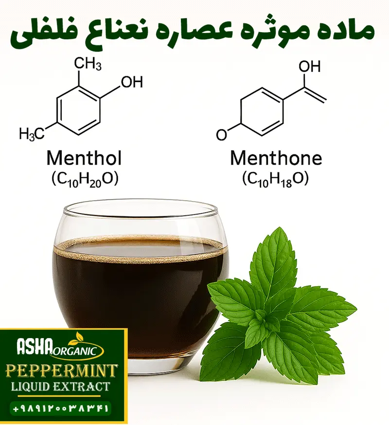 ماده-موثره-عصاره-نعناع-فلفلی