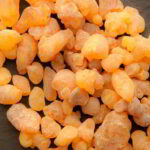 گیاه خشک کندر - Image 2