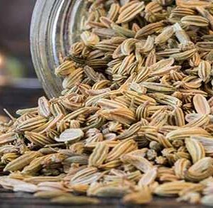 گیاه رازیانه خشک