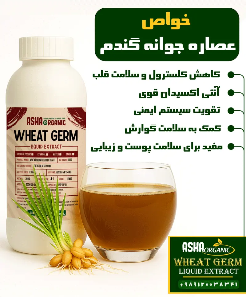 خواص-عصاره-جوانه-گندم