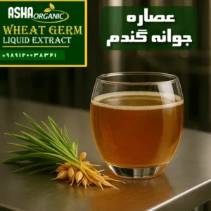 عصاره-جوانه-گندم-مایع