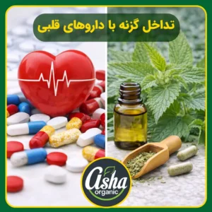 تداخل-مصرف-گزنه-با-داروهای-قلبی