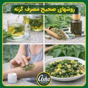 روش-های-صحیح-مصرف-گزنه