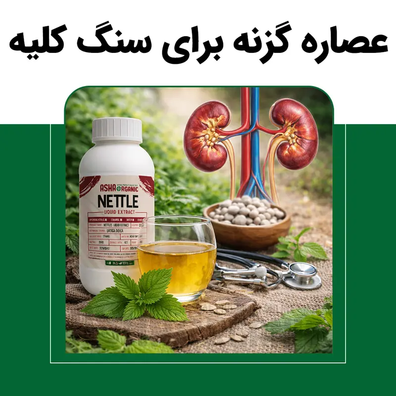 عصاره گزنه برای سنگ کلیه