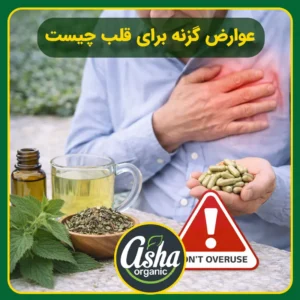 عوارض-گزنه-برای-قلب-چیست