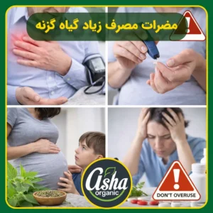 مضرات-مصرف-زیاد-گیاه-گزنه