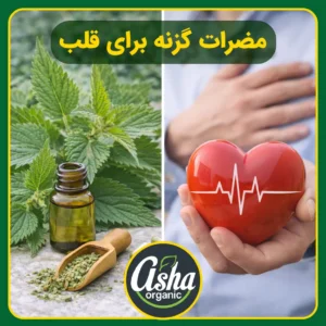 مضرات-گیاه-گزنه-برای-قلب