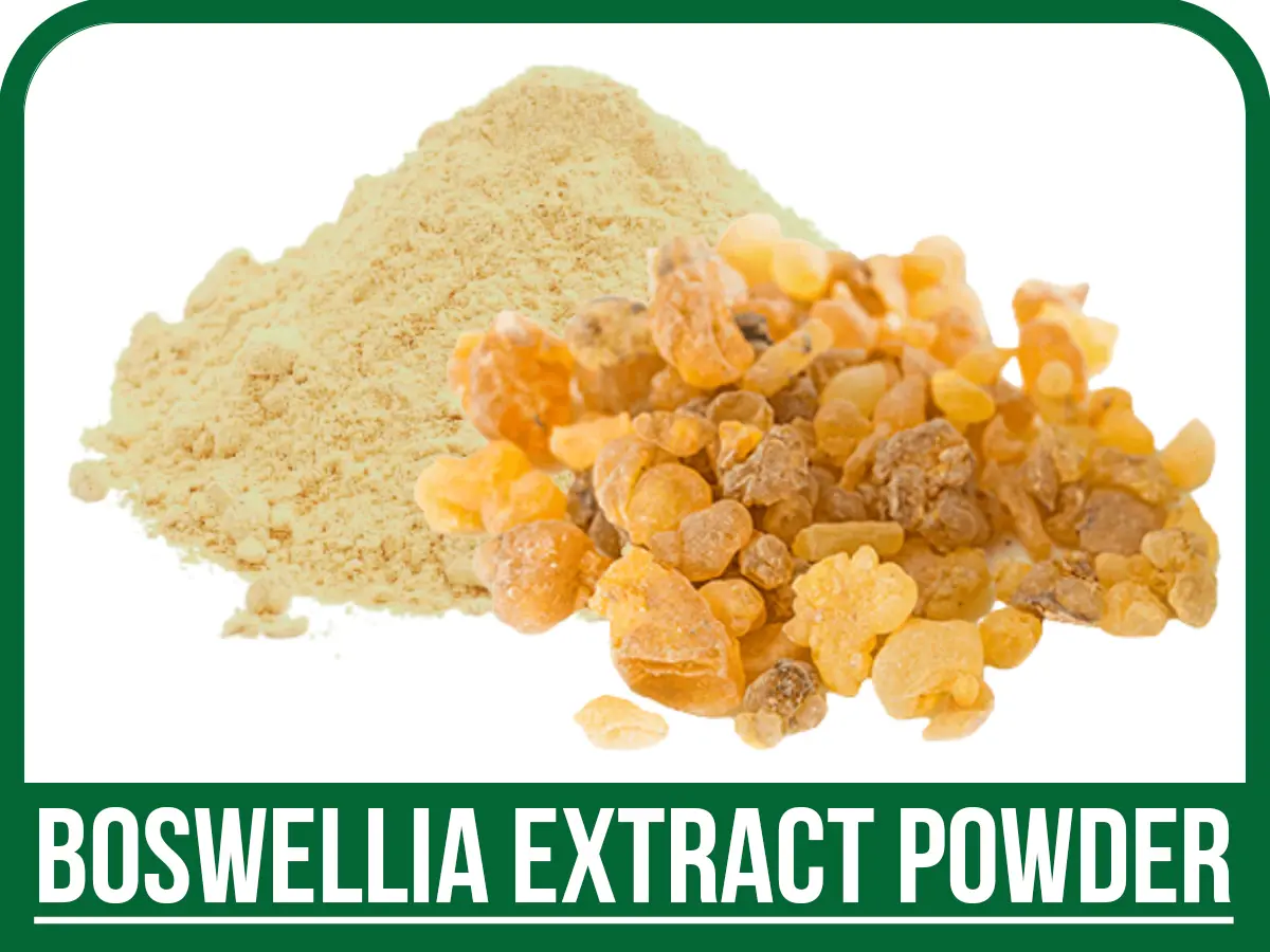 boswellia-extract-powder