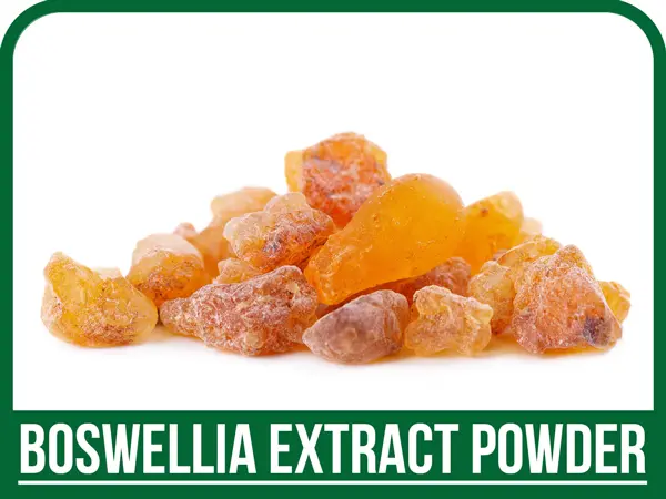 عصاره-کندر-خشک