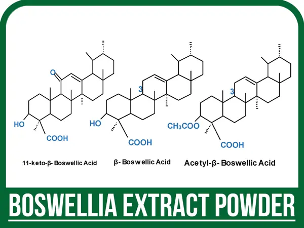 عصاره کندر خشک