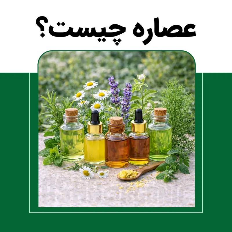 عصاره چیست؟ هرآنچه باید درباره عصاره‌های گیاهی بدانید