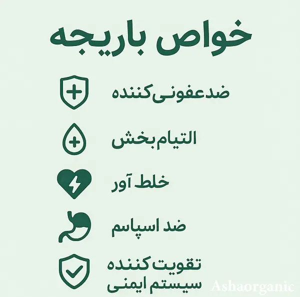 خواص باریجه