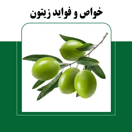 زیتون برای چی خوبه