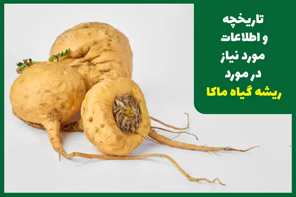 تاریخچه گیاه ماکا