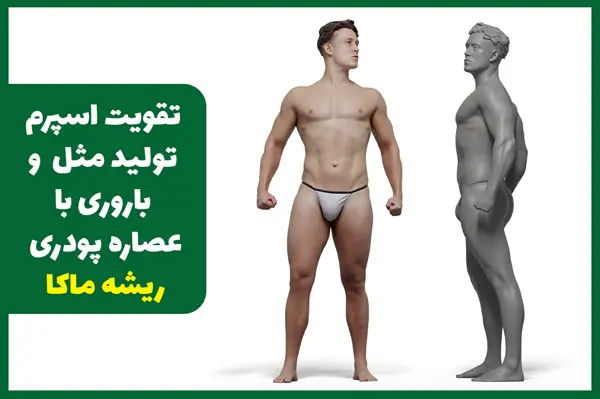 تقویت اسپرم با عصاره ماکا پودری