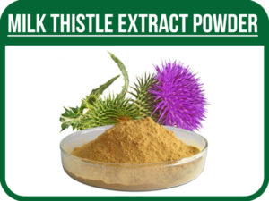 عصاره-خارمریم-پودری