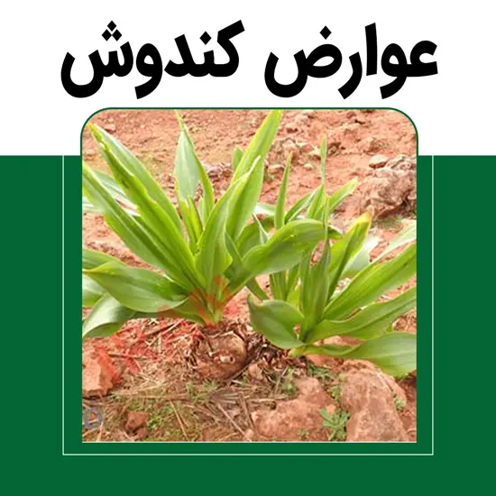 عوارض و مضرات کندش