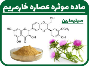 ماده-موثره-عصاره-خارمریم