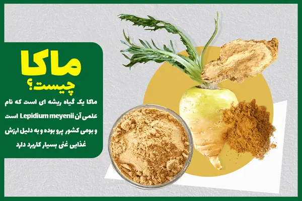 ماکا چیست و چه کاربردی دارد